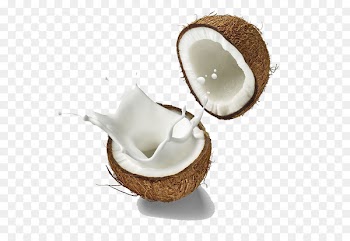 Coconut milk Soy milk Milk substitute - Coconut milk splash 