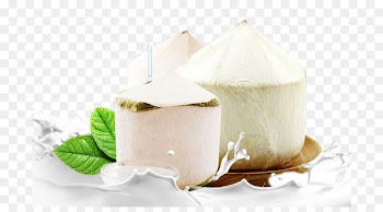 Coconut milk Thai cuisine - Green coconut milk 