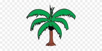 Coconut Palm Plant Tree Coconut Coconut Co - Coconut Tree Leaves Clip Art