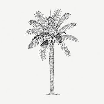 Coconut palm tree collage element, | Free PSD - rawpixel