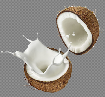 Coconut PNG Background Image