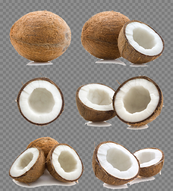 Coconut PNG Free Download