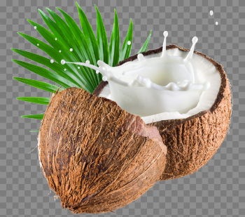 Coconut PNG Image Transparent