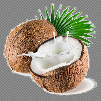 Coconut PNG Image Transparent Background