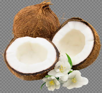 Coconut PNG images free download