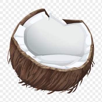 Coconut png sticker, fruit illustration | Free PNG - rawpixel