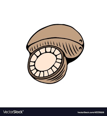 coconut seeds logo