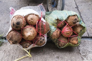 Coconut shells at a local | Free Photo - rawpixel