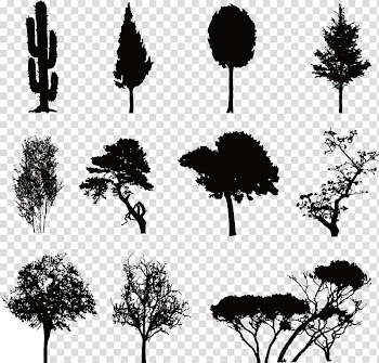 Coconut silhouette transparent background PNG clipart