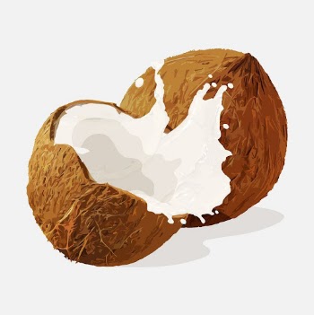 Coconut splash clipart, realistic illustration | Free Photo Illustration - rawpixel