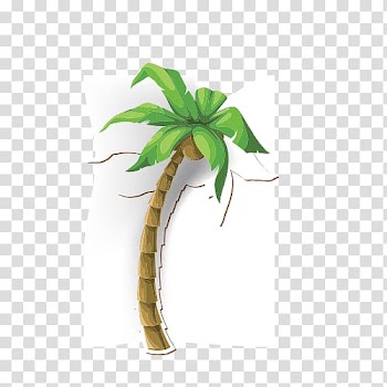 Coconut Tree Arecaceae Illustration, coconut tree transparent background PNG clipart