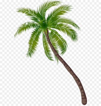 Coconut Tree - Beach coconut tree pattern 