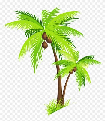 Coconut Tree Clip Art - Coconut Tree Clipart Png