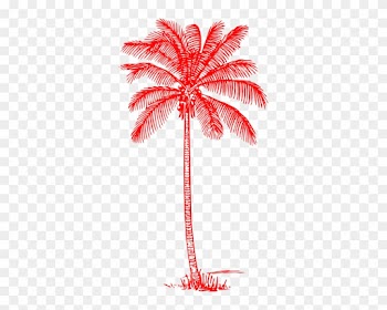 Coconut Tree Clipart Black And White