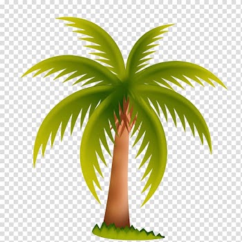 Coconut tree illustration, Arecaceae Date palm Tree , Spread coconut leaves material transparent background PNG clipart