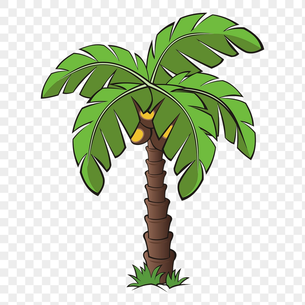 Coconut tree png sticker, botanical | Free PNG - rawpixel