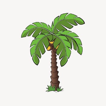 Coconut tree sticker, botanical illustration | Free PSD - rawpixel