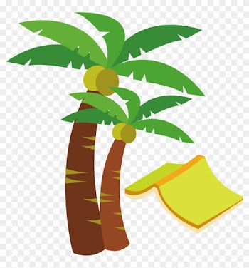 Coconut Tree Vector Material And Books 1240*1170 Transprent - Coconut Tree Art Png