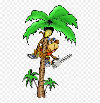 Coconut Tree With Monkey Cartoon Png
