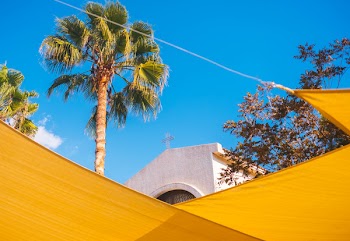 Coconut Trees Beside White Concrete Church Under Blue Sky and White Clouds