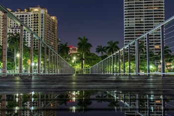 Coconut Trees Near Building