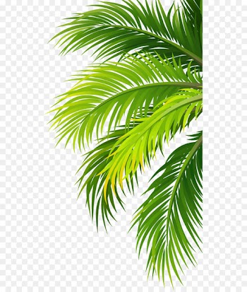 Coconut water Air filter Plant - Leaves 