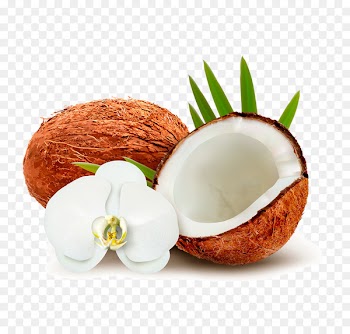 Coconut water Coconut milk Clip art - coconut 