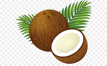 Coconut water Coconut milk Clip art - Coconut PNG image 