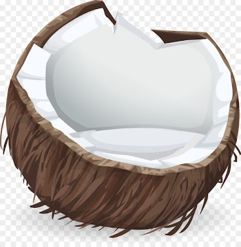 Coconut water Coconut milk Clip art Nata de coco - coconut 