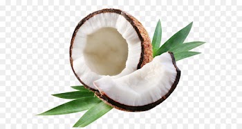 Coconut water Coconut milk Coconut oil Axe7axed na tigela - coconut 