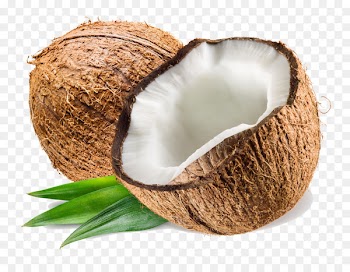 Coconut water Coconut milk Coconut oil - coconut oil 