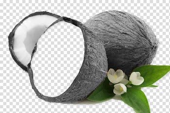 Coconut water Coconut milk Coconut oil Fruit, coconut transparent background PNG clipart