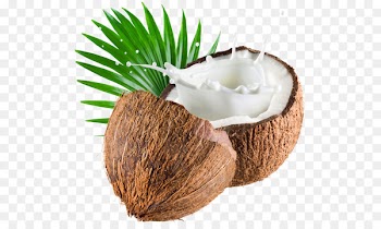 Coconut water Coconut milk Coconut oil - milk 