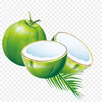 Coconut water Coconut milk powder Es kelapa muda - Cyan Coconut 