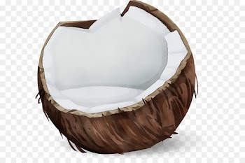 Coconut Water, Computer Icons, Download, Wicker, Furniture PNG