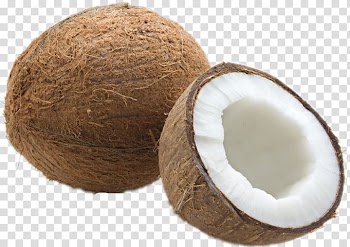 Coconut water Dried Fruit Coconut oil Food, coconut transparent background PNG clipart