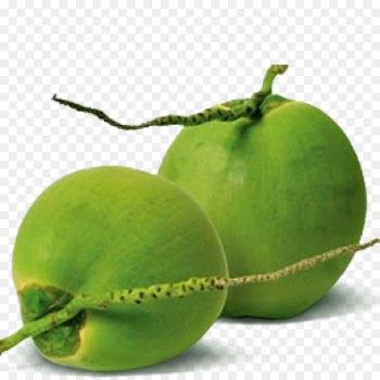 Coconut water Drupe Fruit A to Z Exports And Imports(coconut suppliers,wholesaler,seller,manufacturers in pollachi) - coconuts 
