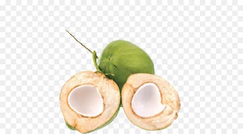 Coconut water Es kelapa muda Coconut milk Thai cuisine - coconut 