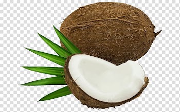 Coconut water Fruit , coconut transparent background PNG clipart