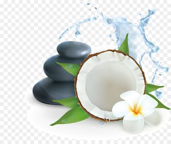 Coconut water Illustration - SPA leisure club creative 