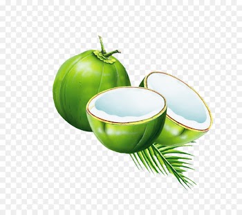 Coconut water Juice Coconut milk powder - coconut 