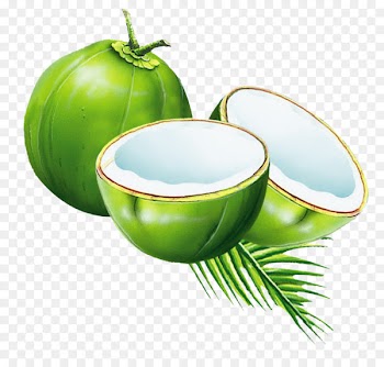 Coconut water Juice Coconut milk powder - coconut 