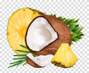 Coconut water Pineapple Fruit salad Flavor, Pineapple coconut transparent background PNG clipart