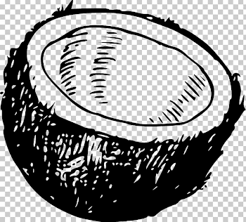 Coconut Water PNG, Clipart, Arecaceae, Artwork, Baseball Equipment ...