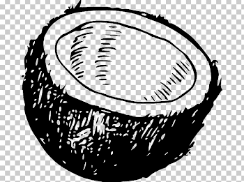 Coconut Water PNG, Clipart, Arecaceae, Artwork, Baseball Equipment ...