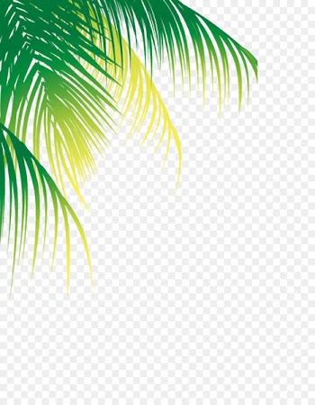 Coconut water Portable Network Graphics Palm trees Image - coconut 