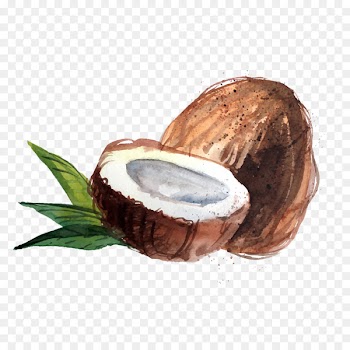 Coconut water Raw foodism Organic food Coconut oil - Watercolor coconut 
