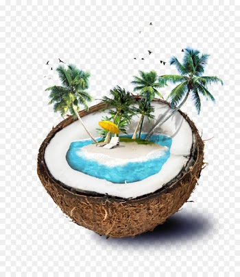 Coconut water Travel - Shading Borders,Shading template download,Shading material download 