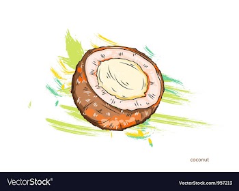 Coconut with colorful splashes vector image