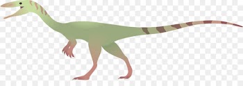 Coelophysis DeviantArt Velociraptor Drawing - coelophysis streamer 
